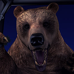 Orso alcolico